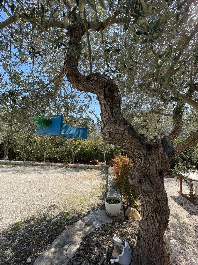 Villa Dama Cisternino Eksteriør bilde